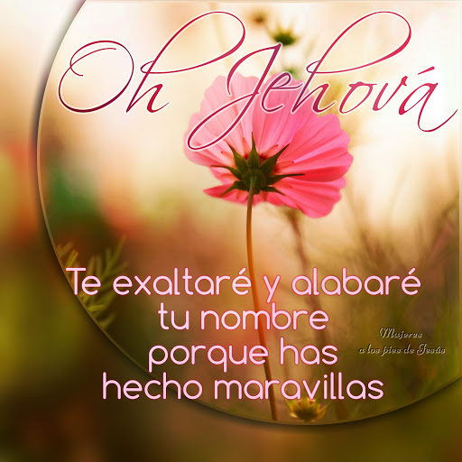 Mujer Dios aumentará tus fuerzas | Mujeres a los pies de Jesus